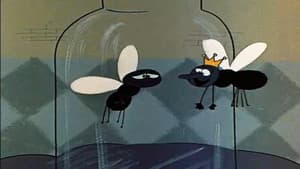 The Enchanted Fly