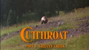 Cutthroat - Grizzly Creek