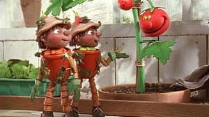 In Search of Lettuce