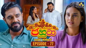 Episode 77