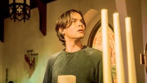 Along Came a Spider