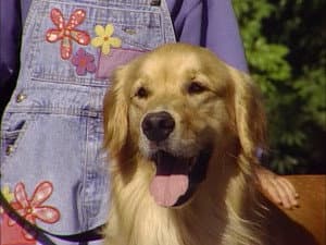 Comet's Excellent Adventure