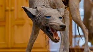 Texas Chupacabra