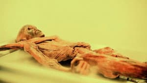 Mummies: a Challenge to Immortality