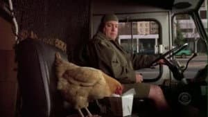 Offensive Fowl