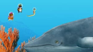 Help the Blue Whale! / Help the Baby Meerkat!