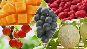Fabulous Fruit