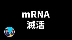 Episode 182