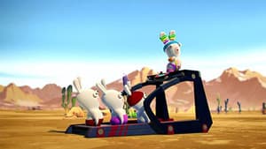 Rabbid Diet