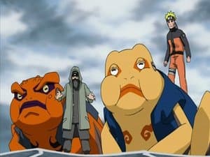 The Battle Over the Barrier
