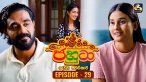 Episode 29