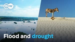Water - Too much and not enough