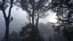 Deep Jungle: New Frontiers
