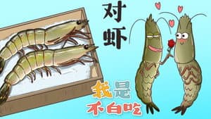 Episode 37