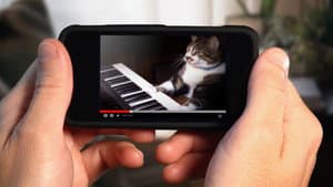 YouTube