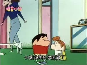 Episode 356