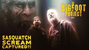 Sasquatch Scream Captured
