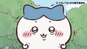 Episode 294