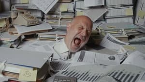 Is stress good for us?