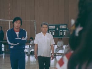 Episode 29