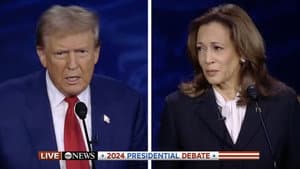 Harris vs Trump: The Dog & Cat Effect