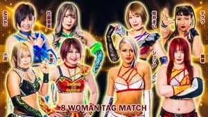 Stardom GoldenWeek Fight Tour 2023 in Fukuyama