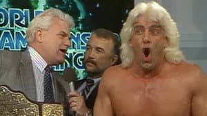 World Championship Wrestling - Dec. 03, 1988