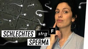 Episode 41