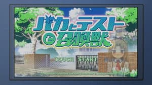 Matsuri Special