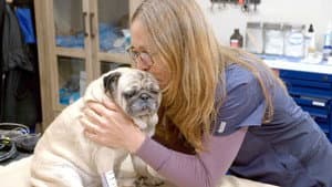 Hug for a Pug