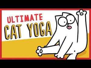 Guide to Cat Yoga