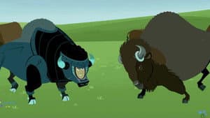 Where the Bison Roam