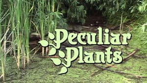 Peculiar Plants