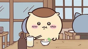 Episode 243