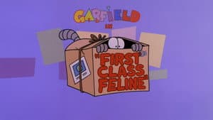 First Class Feline