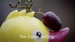 Champion of Champions 2022: The Alpine Darling