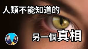 Episode 237