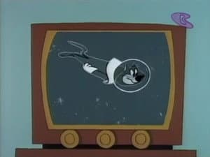 Missile Bound Cat