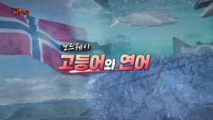Episode 1203