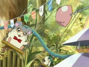 Panda's Ham-Ham Fun Park!