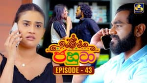 Episode 43