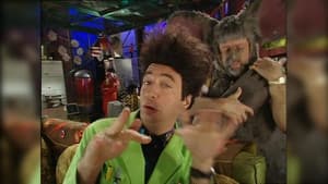 Rubber, Beakmania & Hair