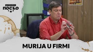 2318 Murija u firmi