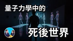 Episode 295