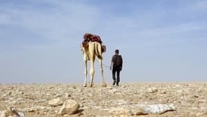 Desert Survival