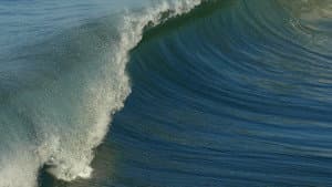 The Water
