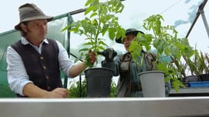 Episode 33 Netting Laws, Native Bees & Tomato Tips