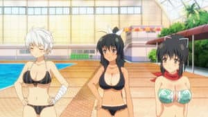 Senran Kagura: Estival Versus – Festival Eve Full of Swimsuits