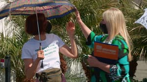 Parasol Pals