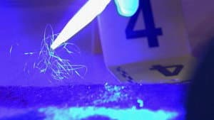 Trace Evidence